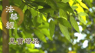 【靜思妙蓮華】法華經見寶塔品 - 發弘誓願 菩薩因行 - 20221214 第1306集