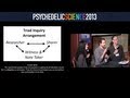 Systematic Methods of Exploring Psychedelic Experiences - F. Echenhofer, T. Samiy, & M. Spalding