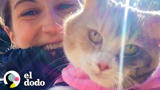 Mujer adopta al gato gruñón de sus abuelos | Dodo Héroes | El Dodo