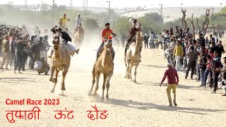 Camel Race तूफानी ऊंट दौड़ देखना ना भूले रोमांच और खतरे से भरपूर Bikaner Camel Festival 2023