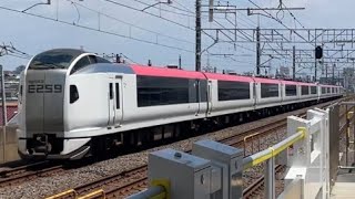 2025M E259系クラNe020編成＋E259系クラNe015編成 特急成田エクスプレス25号 成田空港行 下総中山駅を通過