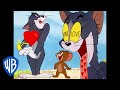 Tom & Jerry in italiano | In Vena Di Amare | WB Kids
