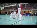 pokaz kung fu karwiny w niemczech