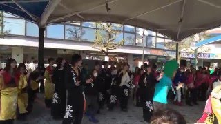 第6回チャリティよさこい\u0026ダンスフェス 2016.03.20 ピーマンサンバ②(3回目)