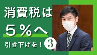 【消費税インボイス】「社会保障の財源」は事実に反する…５％へ減税を！　参議院予算委員会2022年3月17日（切り抜き3/3）