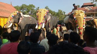 Chirakkal kalidasan in Moothakunnam ulsavam 2020