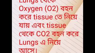 Blood function bangla full.