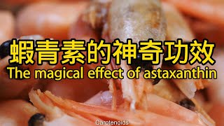 蝦青素的功效與作用 The efficacy and function of astaxanthin