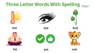 Three Letter Words || Preschool Learning || 3 letter words Kids Education Video || 3 Letter Words