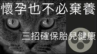 [懷孕能養貓嗎?]Dr.Rex教懷孕媽媽3招確保胎兒健康,不必棄養家中寵物