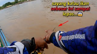 Mengerikan tarikan ikan patin besar ini bikin perahu kami Oleng