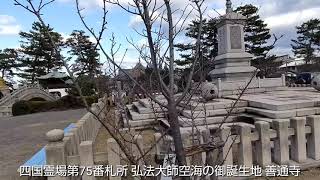 四国霊場第75番札所 総本山善通寺弘法大師空海の御誕生地 　香川県善通寺市善通寺町⛩️