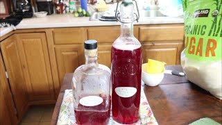 Harvesting Wild Raspberries from the homestead and making raspberry syrup.