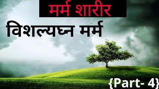 मर्म शारीर {Marma} Part-4 || विशल्यघ्न मर्म || रचना शरीर || Being Doctor