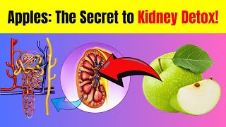 Apples and Kidney Health: How This Common Fruit Supports Detoxification | HEALTHY FRIENDS | BESTIE