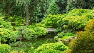 Relaxation Visualization Zen Garden Talk Down: Sleep & Stress Relief