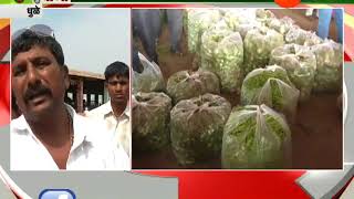 Dhule Farmers In Trouble For Less Rate For Vegetables