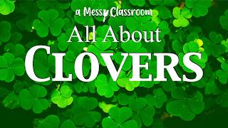 Bet You Don't Know This About Clovers | Unbelievable Clover Facts | All About Shamrocks | Plants
