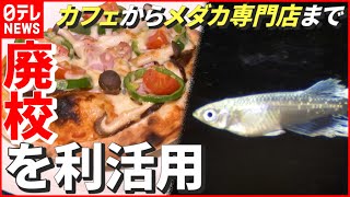 【地域活性】毎年400校以上が廃校に…“カフェ”から“メダカ専門店”まで！ 生まれ変わる“元学校”　徳島　NNNセレクション