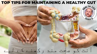 What is Gastrointestinal Health? symptoms precaution and treatment