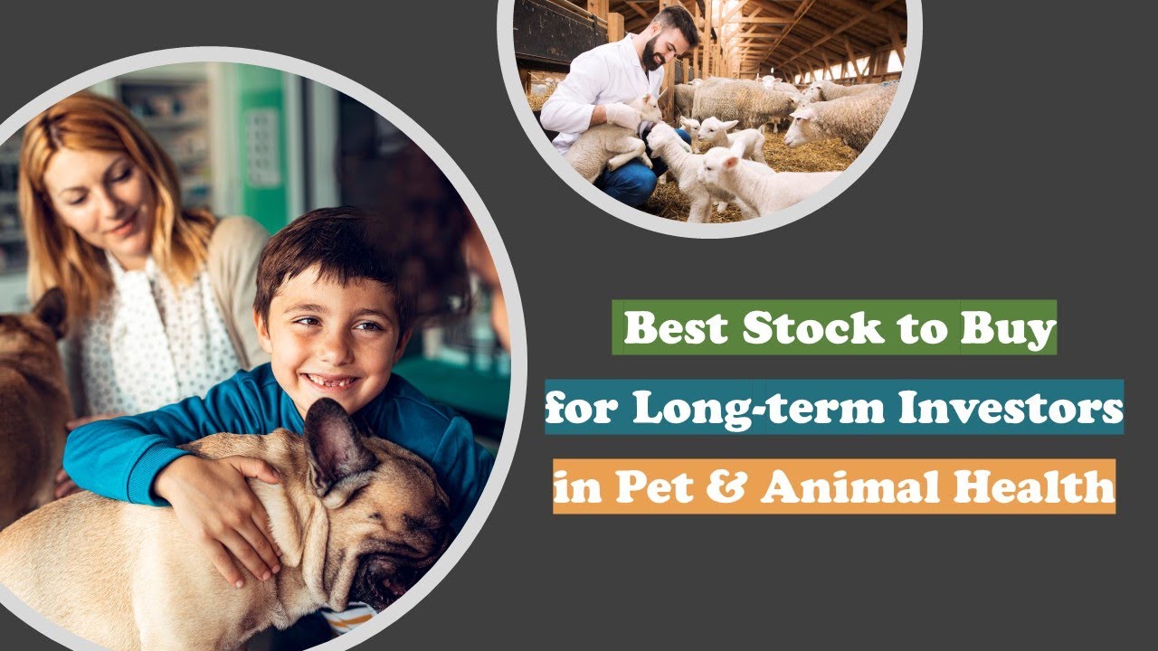 Zoetis Stock | Best Stock For Long-term Investors In Pet & Animal ...