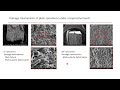 81 notch effect in the tensile and compressive quasi static behaviour of 40% short glass fibre ...