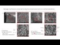 81 notch effect in the tensile and compressive quasi static behaviour of 40% short glass fibre ...