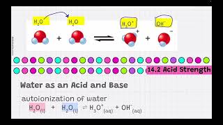 EPHS AP Chemistry 14.1 to 14.3