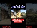 ડાયા ને બે બૈરાં || #desi_comedy  #gujaratidesicomedy #short #youtubeshorts #shortvideo