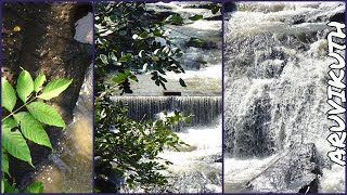 Aruvikuthu Waterfalls