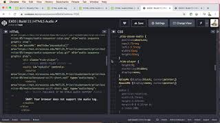 step 08 simple javascript toggle audio