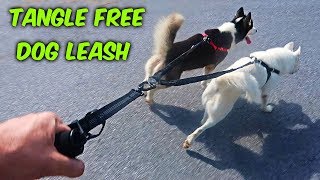 3 Tangle Free Dog Leashes Test