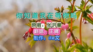 《你知道我在等你吗》原唱张洪量翻唱王晴