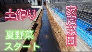 独身の家庭菜園１【土作り編】夏野菜は始まっている