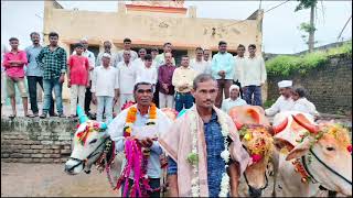 !बैल जोडी मालकाचा काढला १२ लाखाचा विमा !! #maharashtra #farmer #pola