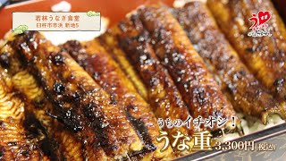 #ちあうすきめし Vol.17 若林うなぎ食堂 【うすきチャンネル　-USUKI channel-】大分県臼杵市の魅力を世界へ発信