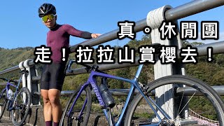 真。休閒騎！走！拉拉山賞櫻去/公路車Vlog