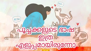 പൂച്ചകളുടെ ശബ്ദങ്ങളുടെ അർത്ഥം  💯😍 | 8 Common Cat Sounds And Its Meaning | Mallu Cat