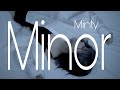 Minor/Minty  【Official Music Video】