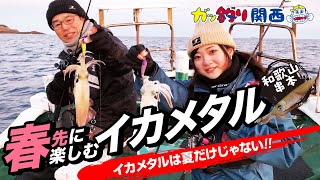 イカドロボウをかわして楽しむ春先のイカメタル【ガッ釣り関西241】