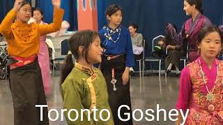 Toronto Goshey 2024-0ct-23