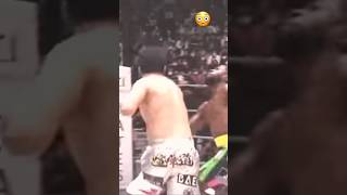 Floyd Mayweather Knocked Out!!! Mikuru Asakura