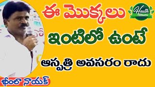 Bheemla|lHealth Bhumi||ఇంటిలో ఔషధ మొక్కలుంటే ఆస్పత్రి అవసరం ఉండదు|