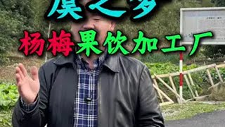 杨梅深加工 我的母校，曾经的横塘中学，后来的横塘中心小学，现在成了一家校企合作的杨梅果饮加工厂，坐落在风景秀丽的兰阜山下，由浙江大学食品研究院技术加持，拥有果汁研发的实验室和果汁制作的生产线，目前已