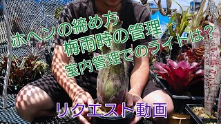 リクエスト動画です。