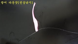 광어다운샷 채비 30초면 충분하다!!!!