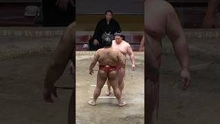 立ち合いが合わなかった宇良と高安 #2024福祉大相撲 #sumo #相撲 #宇良 #高安