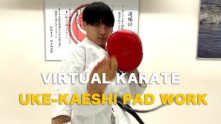 【新極真会】ヴァーチャル空手 受け返しミット打ち VIRTUAL KARATE UKE-KAESHI PAD WORK   SHINKYOKUSHINKAI