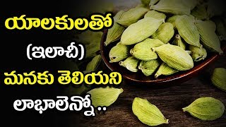 యలకులతో  ( ఇలాచీ )మనకు తెలియని లాభాలెన్నో  - మన ఆరోగ్యం తెలుగు హెల్త్ టిప్స్