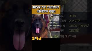 র‌্যাবের ডোগ স্কোয়াডের প্রশিক্ষিত কুকুর